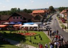 molve - velika gospa 2006. 046