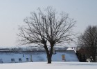 DSC_0342_800x536 DSC_0342_800x536