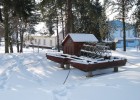 DSC_0345_800x536 DSC_0345_800x536