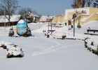 DSC_0349_800x536 DSC_0349_800x536